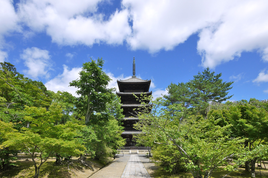 Ninna-ji: A Timeless Jewel of Kyoto6