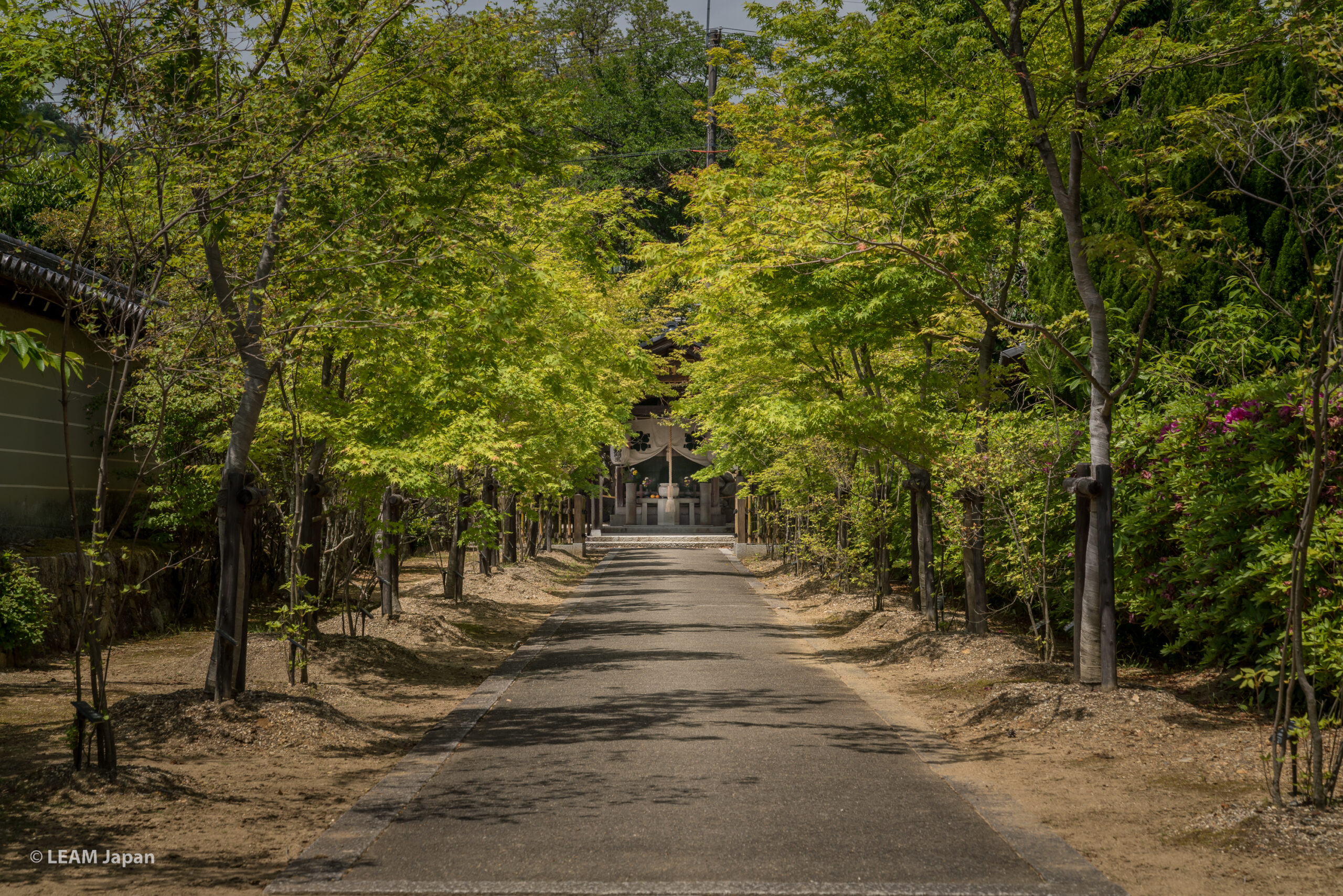Kyoto, Ninnaji Temple “Mizukake Fudōson”