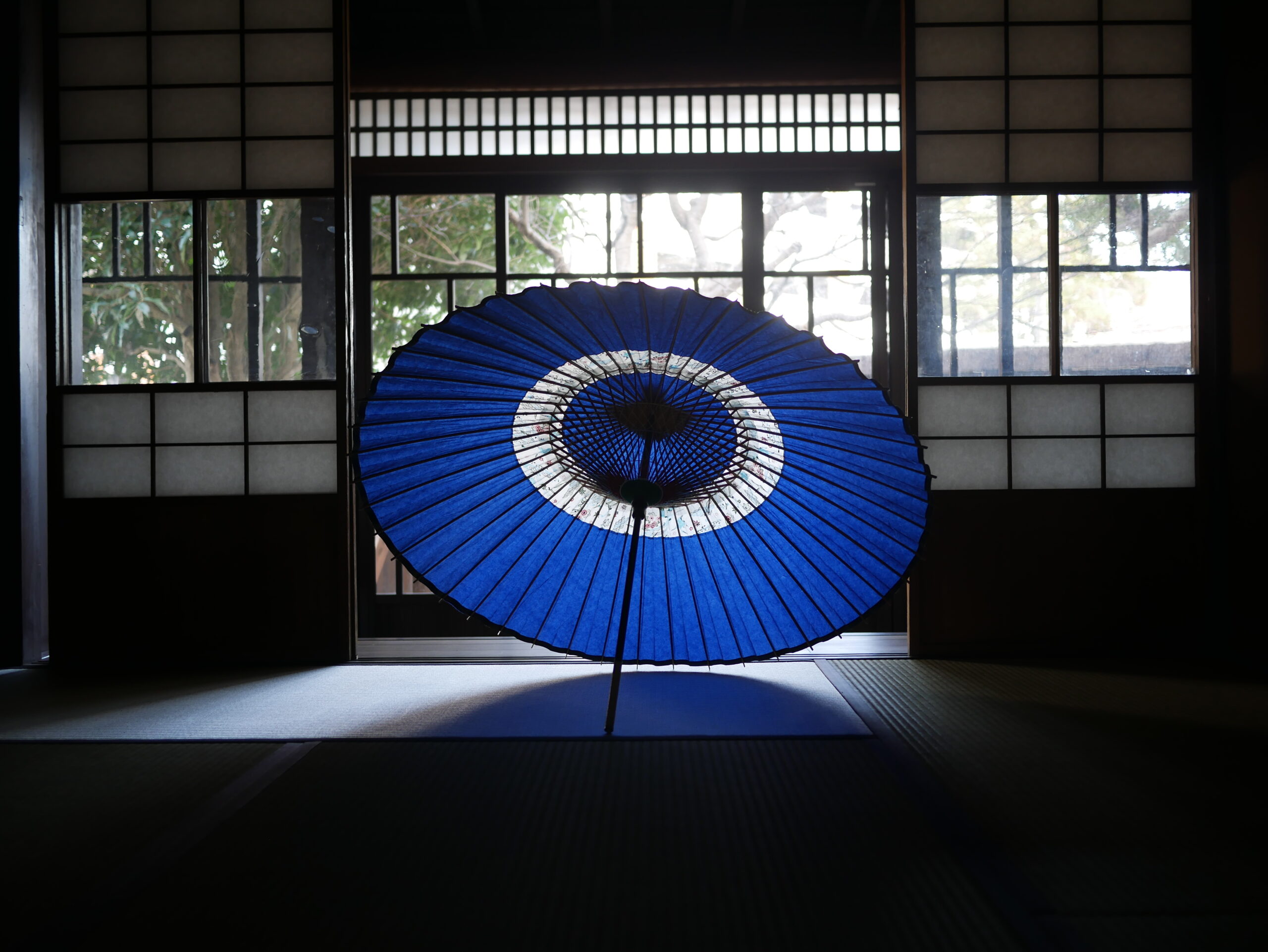 Crafting Your Own Wagasa: A Special Journey Through Time and Tradition