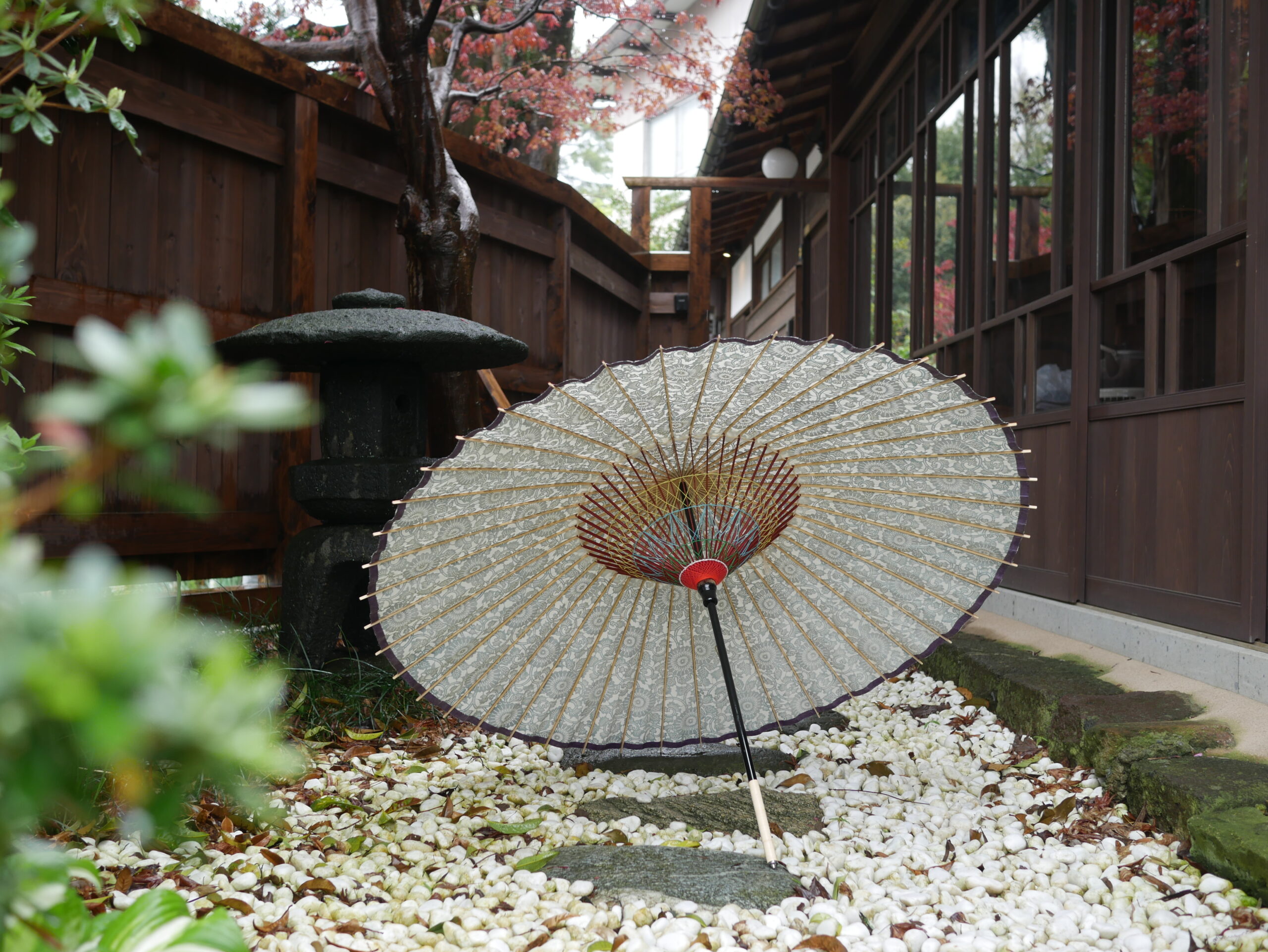 A Tale of a Single Umbrella: Found in the Quiet Depths of Higashi Chaya District